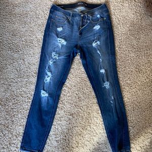 Torrid jeans